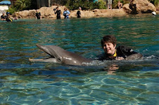 Swimming with a dolphin