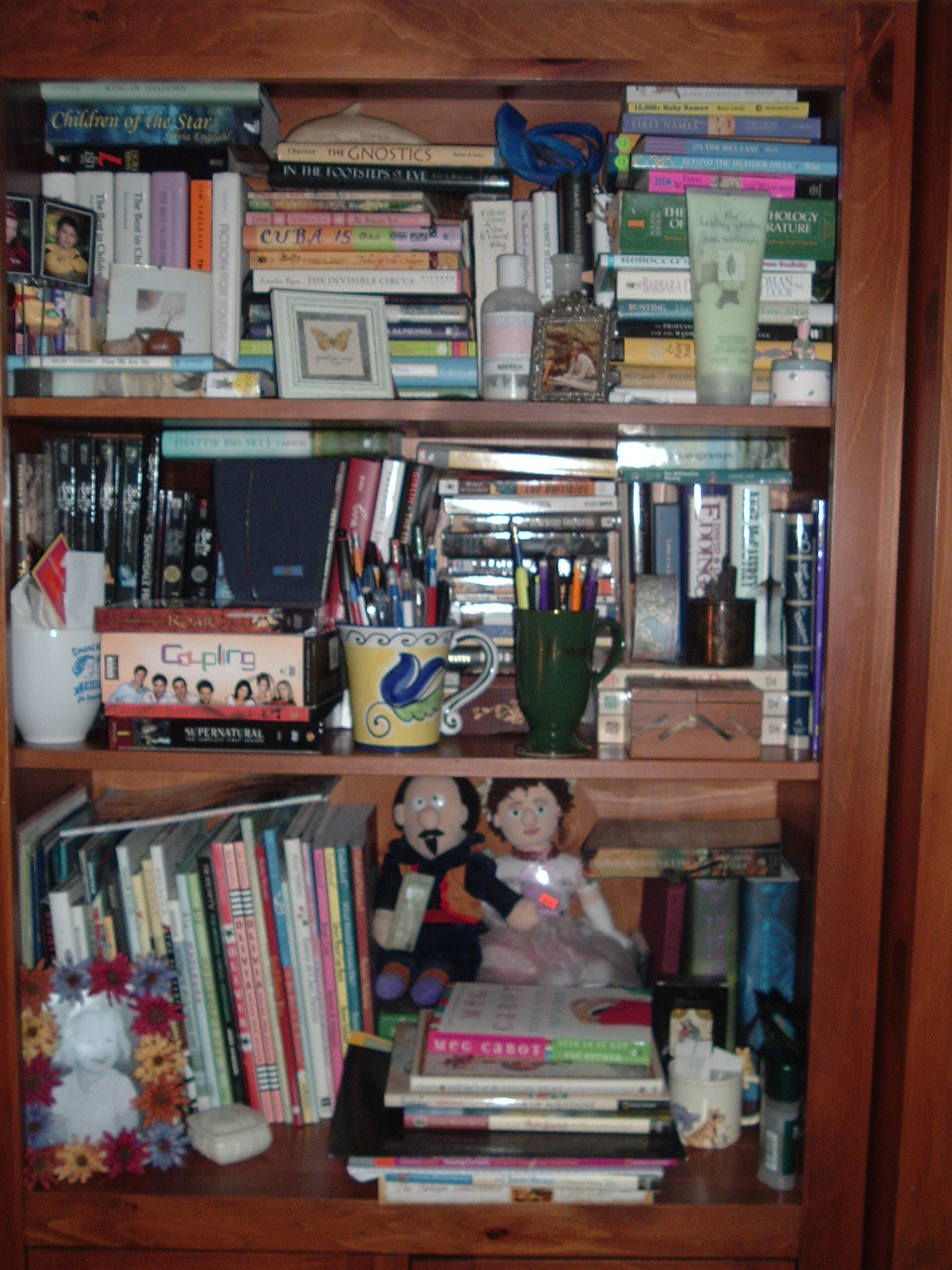 [bookshelves+011.jpg]