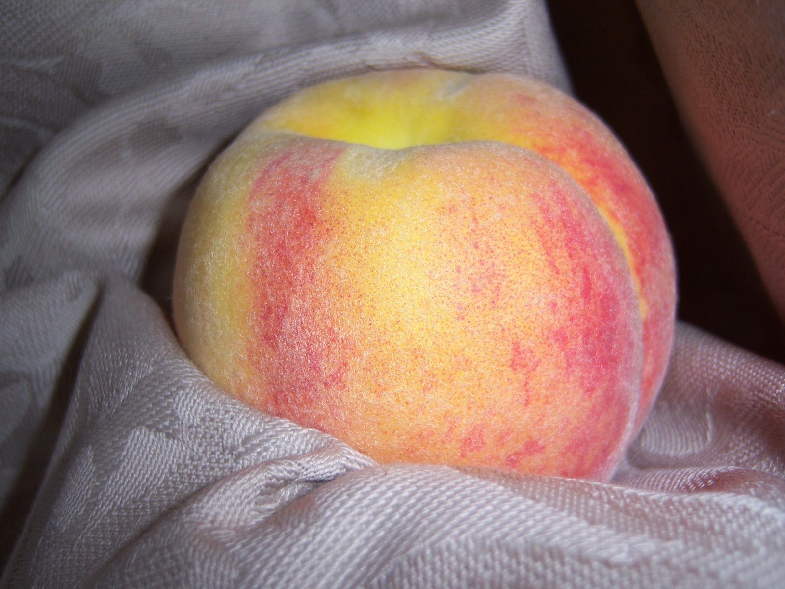 [peaches3.jpg]