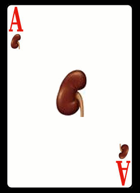 [an-ace-of-kidneys.jpg]