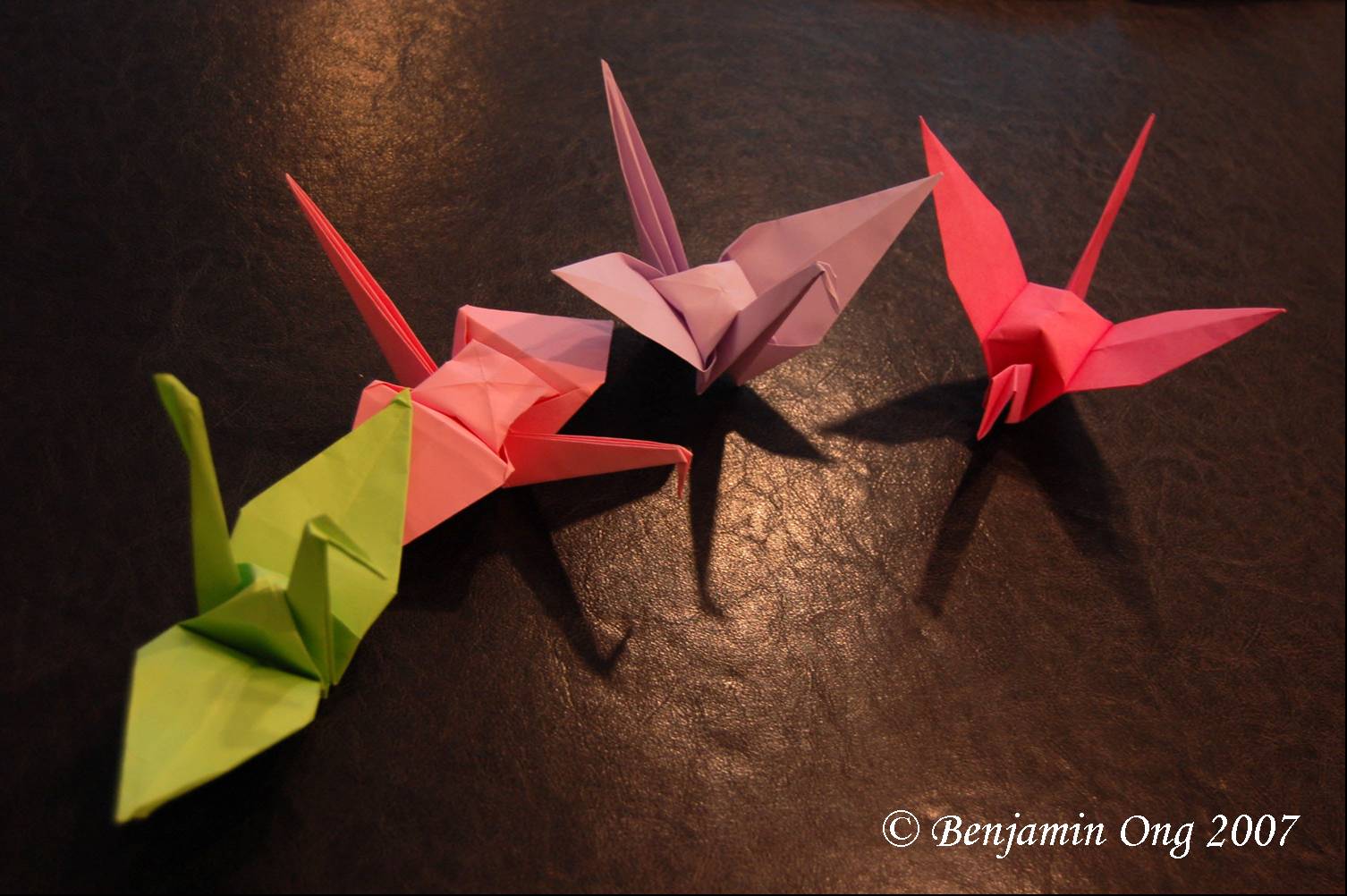 [cranes.jpg]