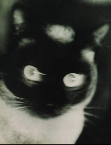 [Cat+1927.jpg]