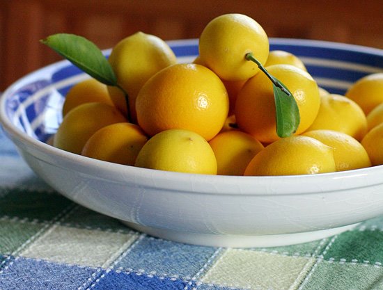 [lemons-for-web.jpg]