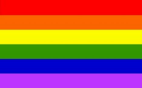 [PrideFlag.jpg]