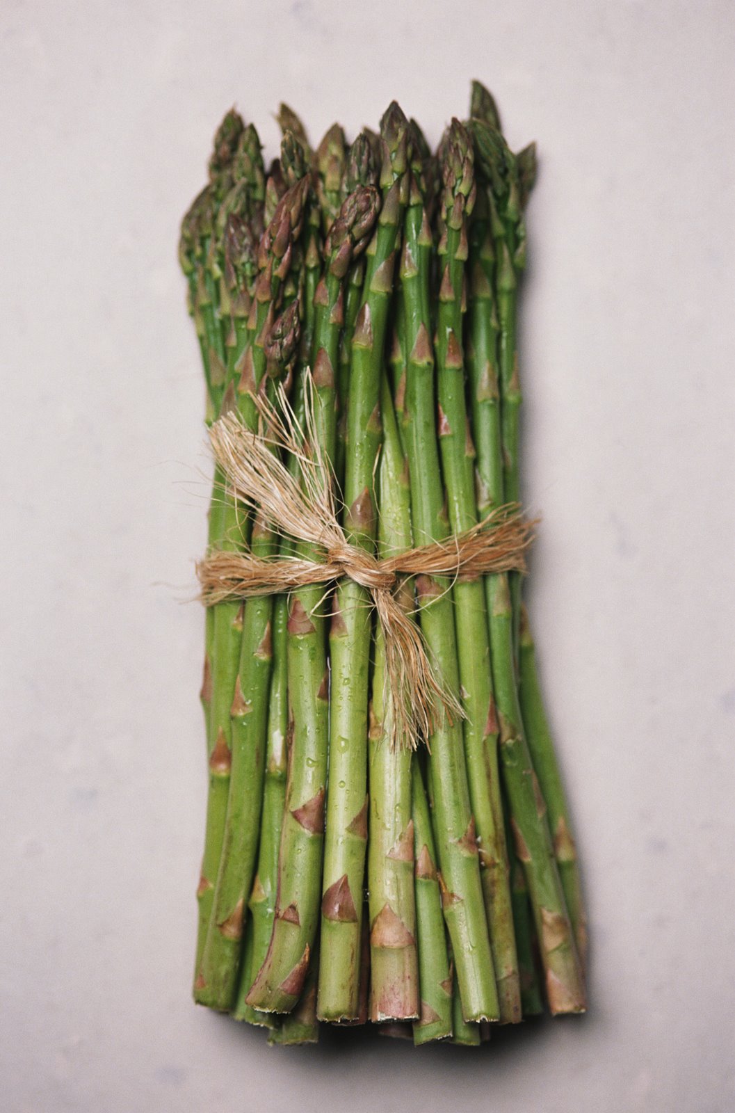 [asparagus1.jpg]