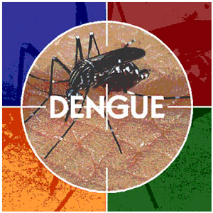 [lqes_empauta_novidades_970_dengue.jpg]