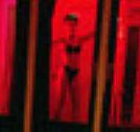Brothel Display Window in Red-light District
