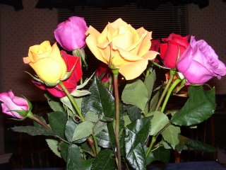[Mother's+Day+Roses.jpg]