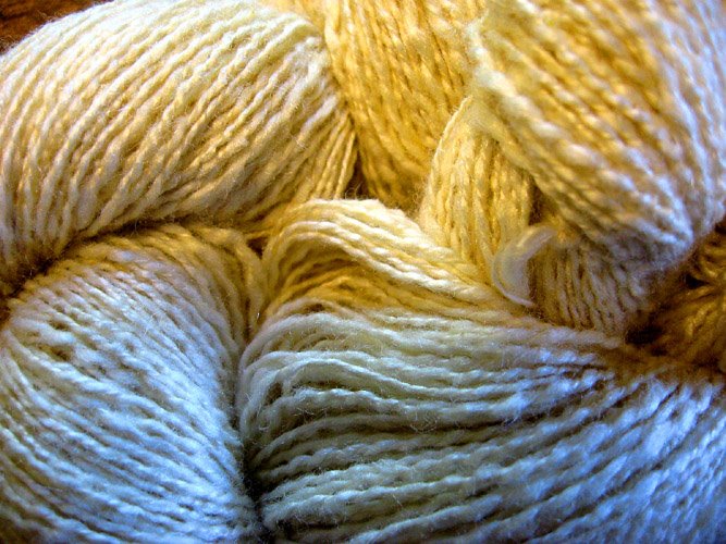 Carded noil and bombyx silk yarn