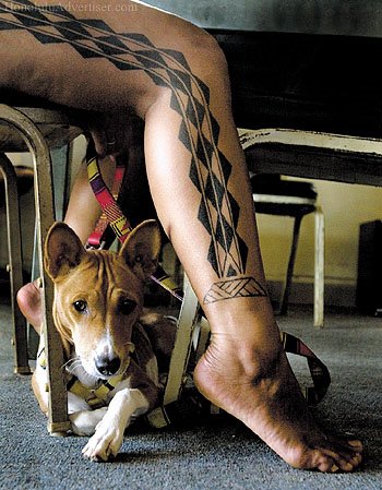 [tattoo+and+dog.jpg]