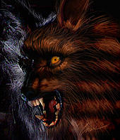 [werewolf_face.jpg]