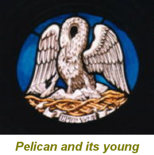 [Pelican&+its+Young.jpg]