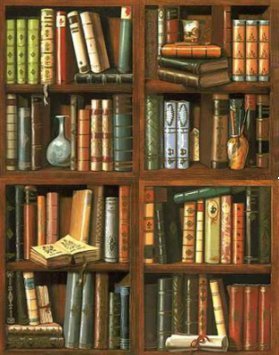 [bookshelves.bmp]