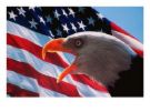 [american+flag+and+eagle.jpg]