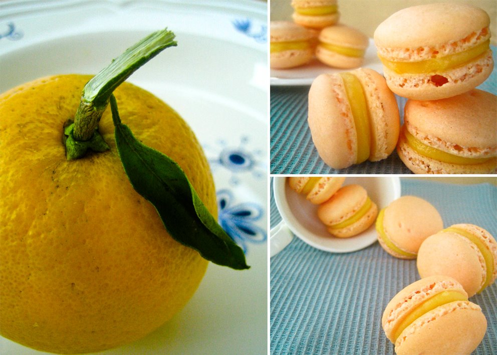[macaron+and+lemorange.jpg]
