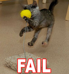 [kitty_fail.jpg]