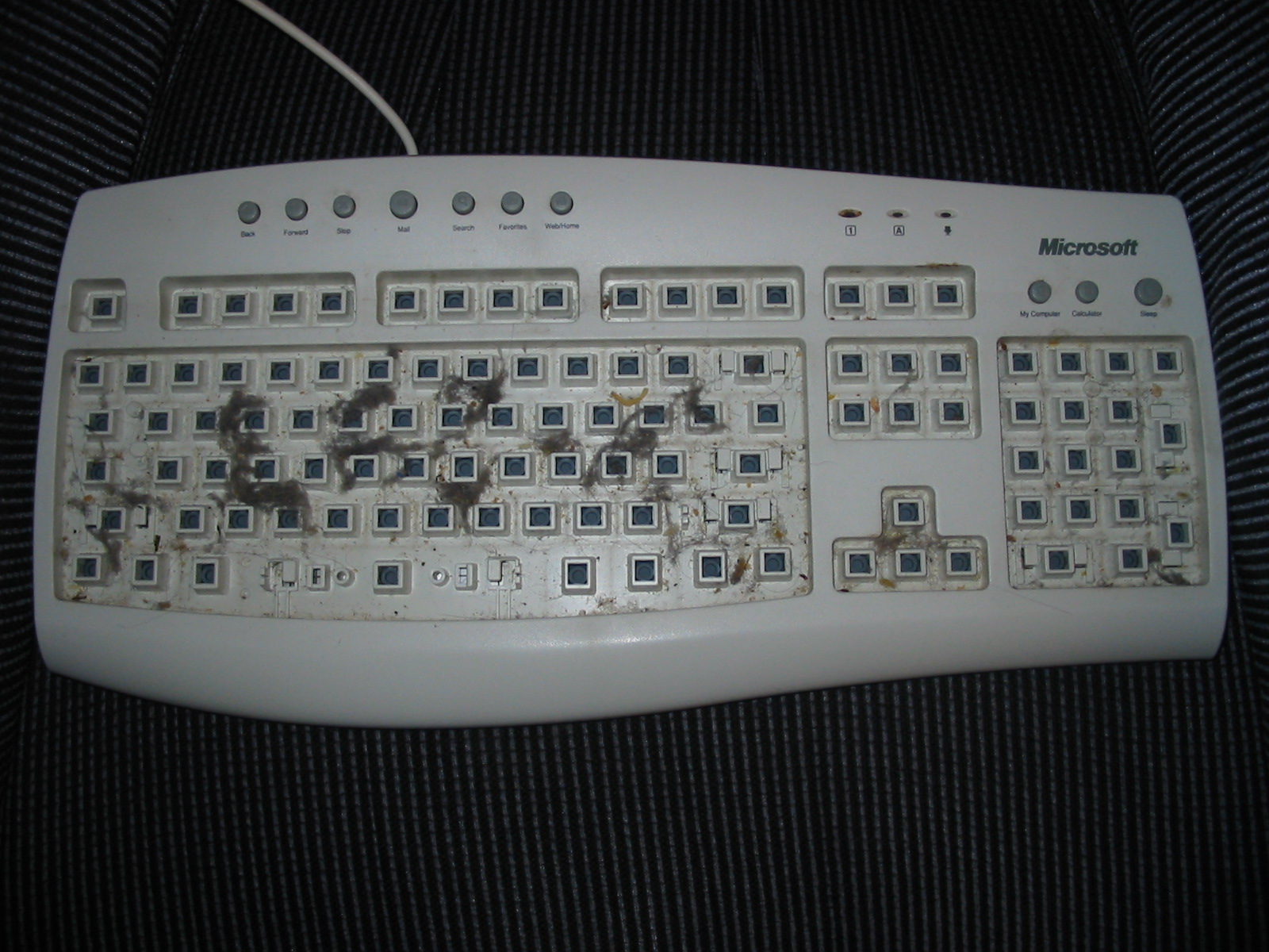 [keyboard+001.jpg]