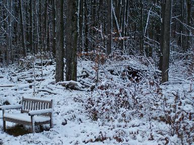 [winter+bench.jpg]