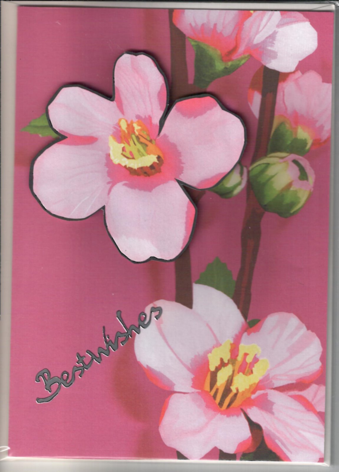 [eastern+pink+flowers.jpg]