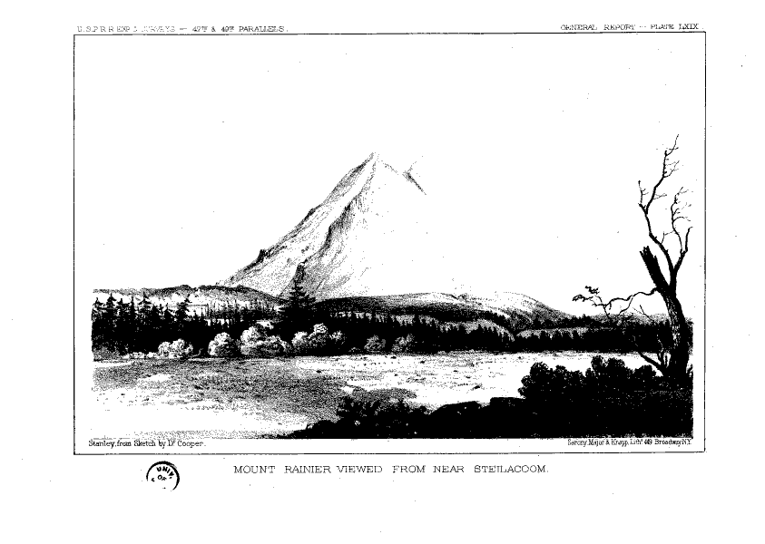 Pacific Railroad Survey Drawing