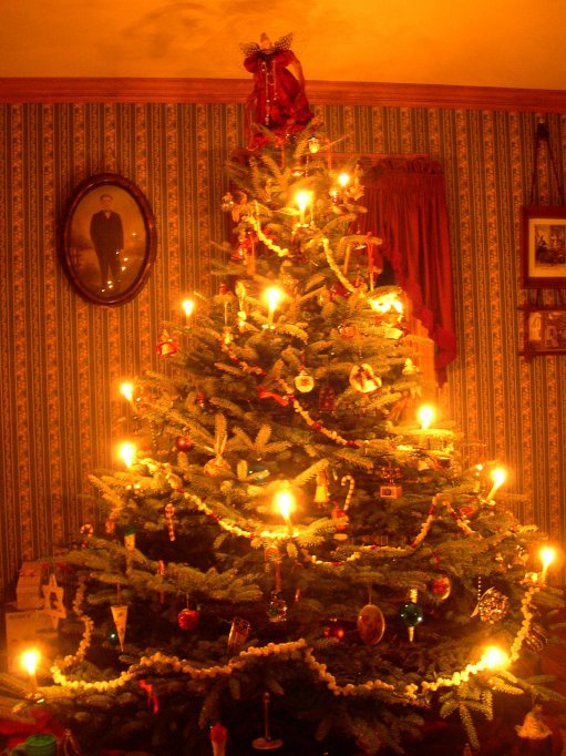 [2007+Christmas+tree.jpg]