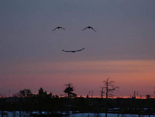 [Natural+Smile+by+Nature.jpg]
