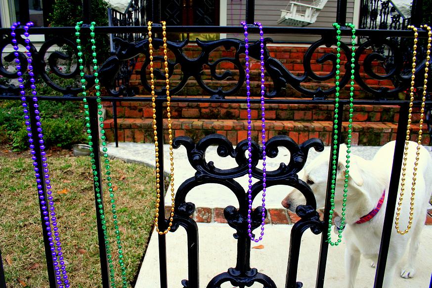 [beads+on+fence+small.JPG]