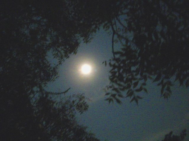 [7+moonlight.jpg]