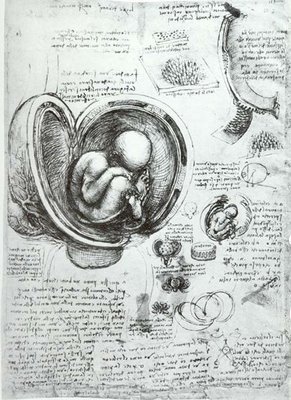 [436px-Leonardo_da_Vinci_Studies_of_.jpg]