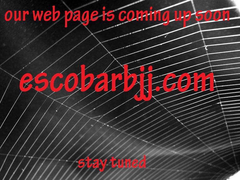 [Spider_web_2..jpg]