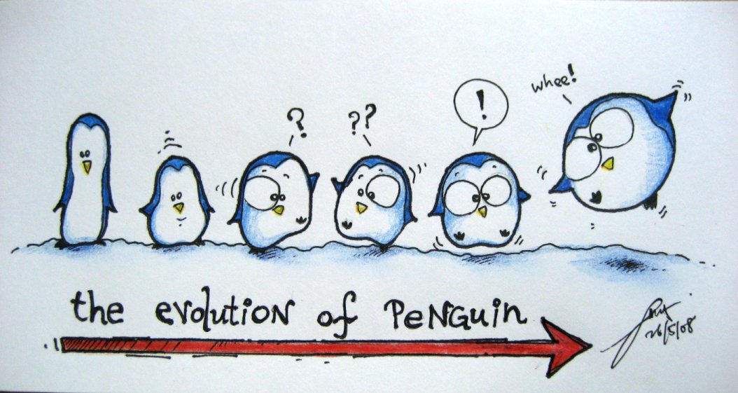 [Evolution+of+Penguin.JPG]