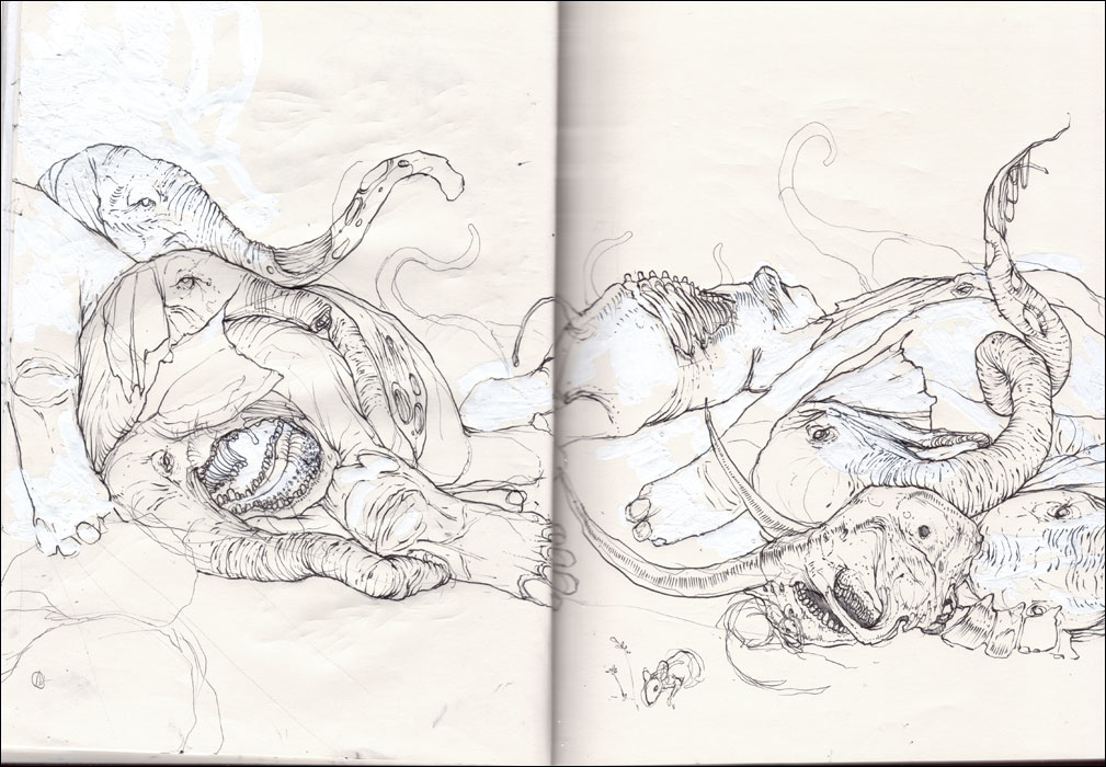 [sketchbook_elephants.jpg]