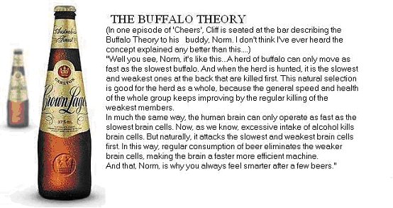 [Buffalo+Theory.bmp]