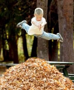 [Boy+Jumping+onto+Leaves.jpg]