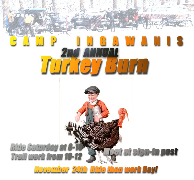 [turkeyburn.jpg]