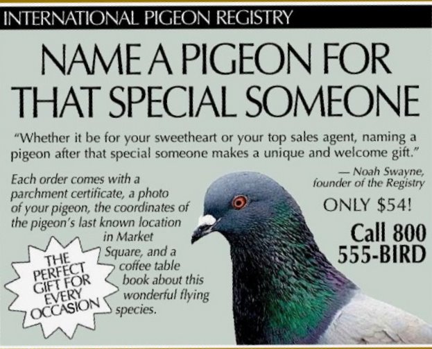 [Pigeon+Registry.JPG]