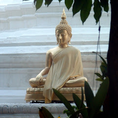 Un bouddha en méditation