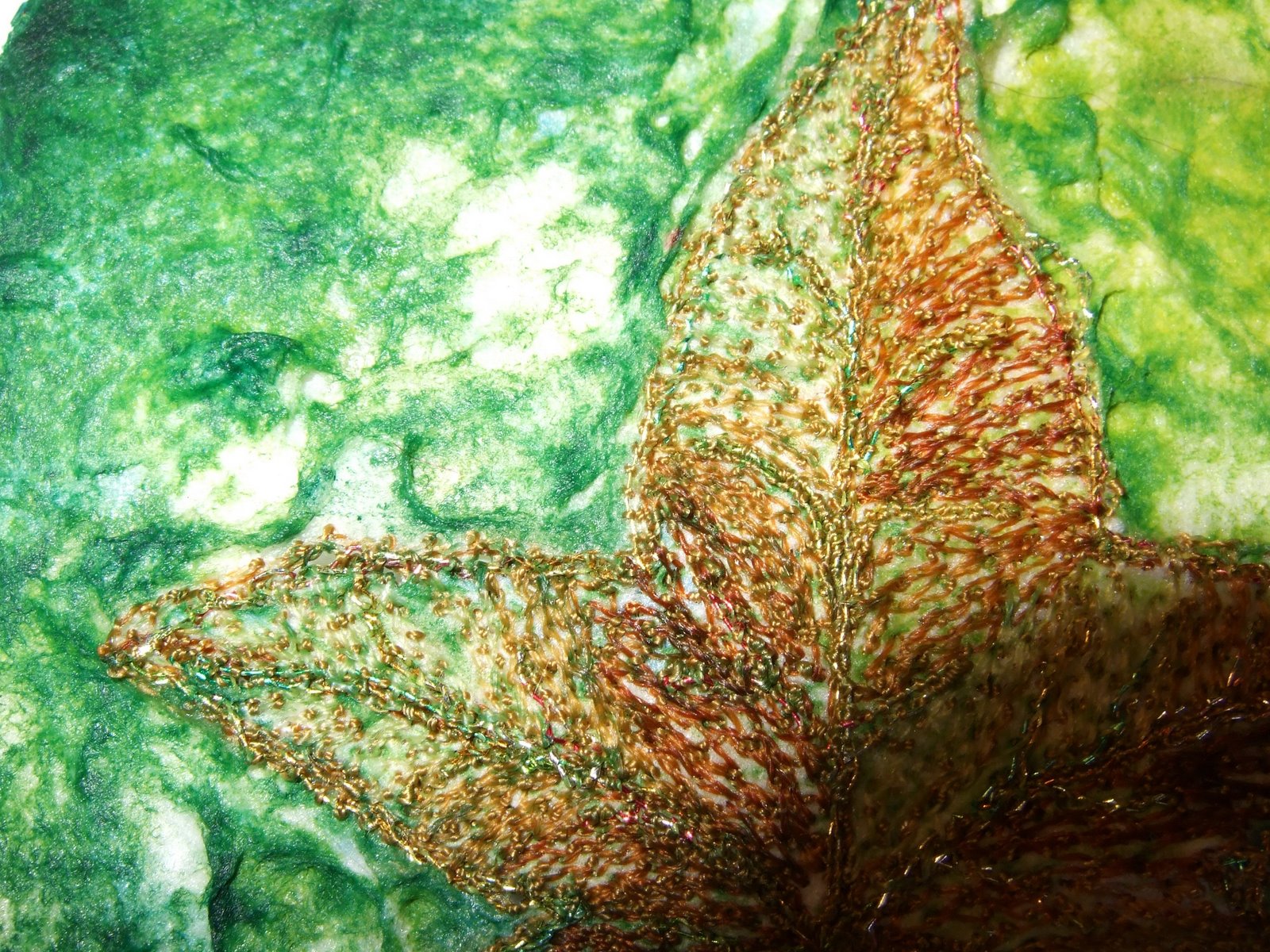 [leaf+1+close-up.jpg]