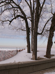 Sentinels in Winter.. Indiana Dunes State Park Shoreline in the Background..