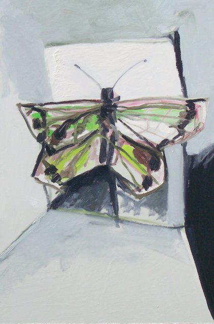 [Butterfly+Pinned,+web.jpg]