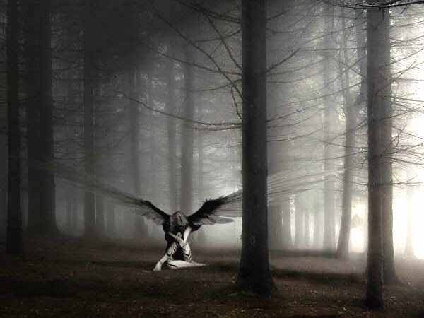 [angel+en+bosque.jpg]
