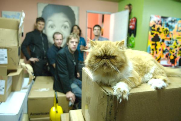 [cat_on_box_by_Curt_Doughty.jpg]