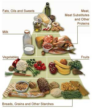 [Food-Pyramid.jpg]