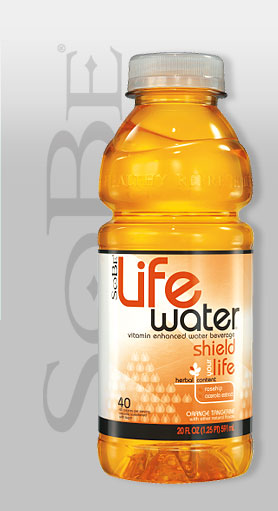 [bottle_lifewater_orange_lg.jpg]