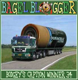 [Mr-Bagel--winner-wk34-275.jpg]