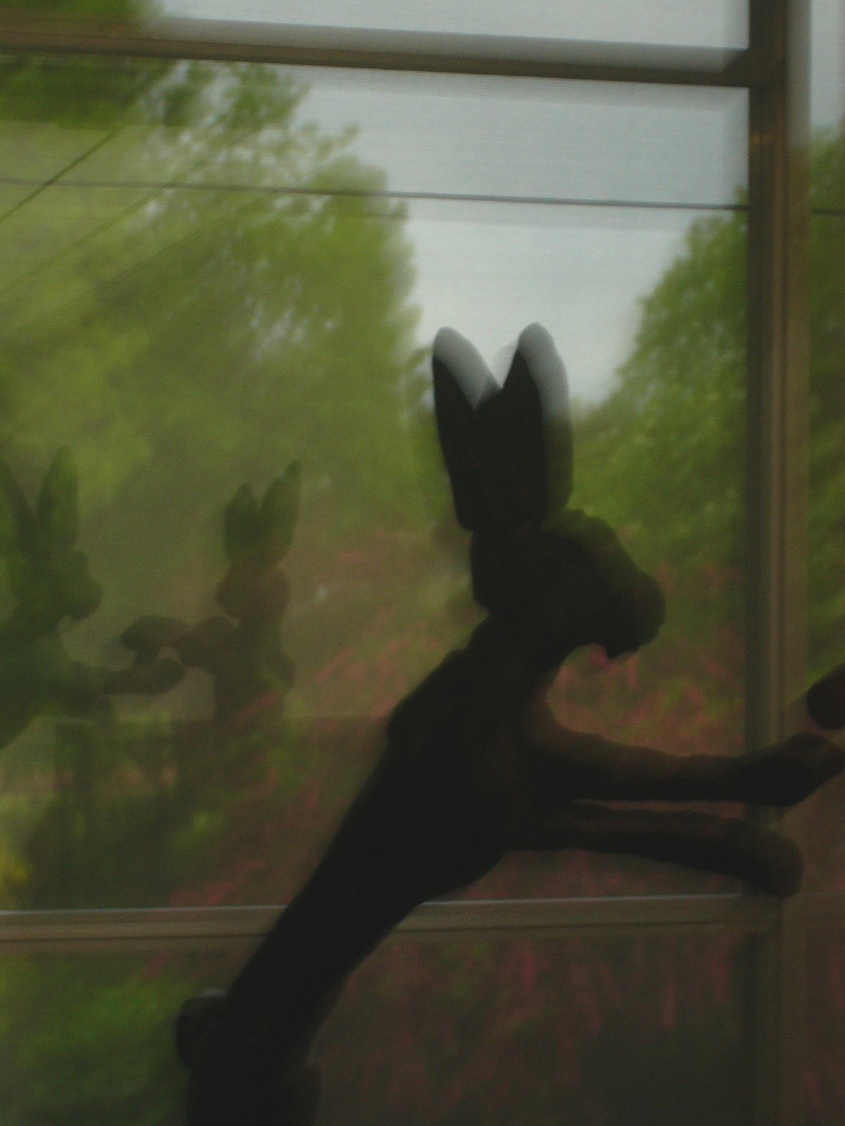 [Rabbits.JPG]