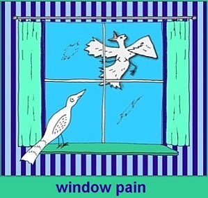 [window+pain.jpg]
