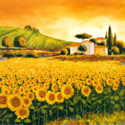 [RL_4698~Valley-of-Sunflowers-Posters.jpg]