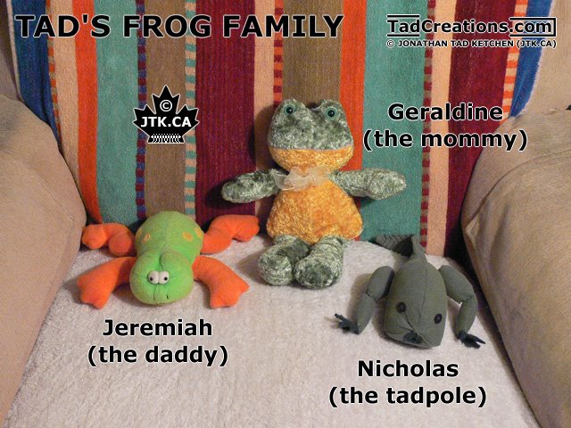 [frog-family-502.jpg]