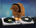 [DJ-Cat.gif]